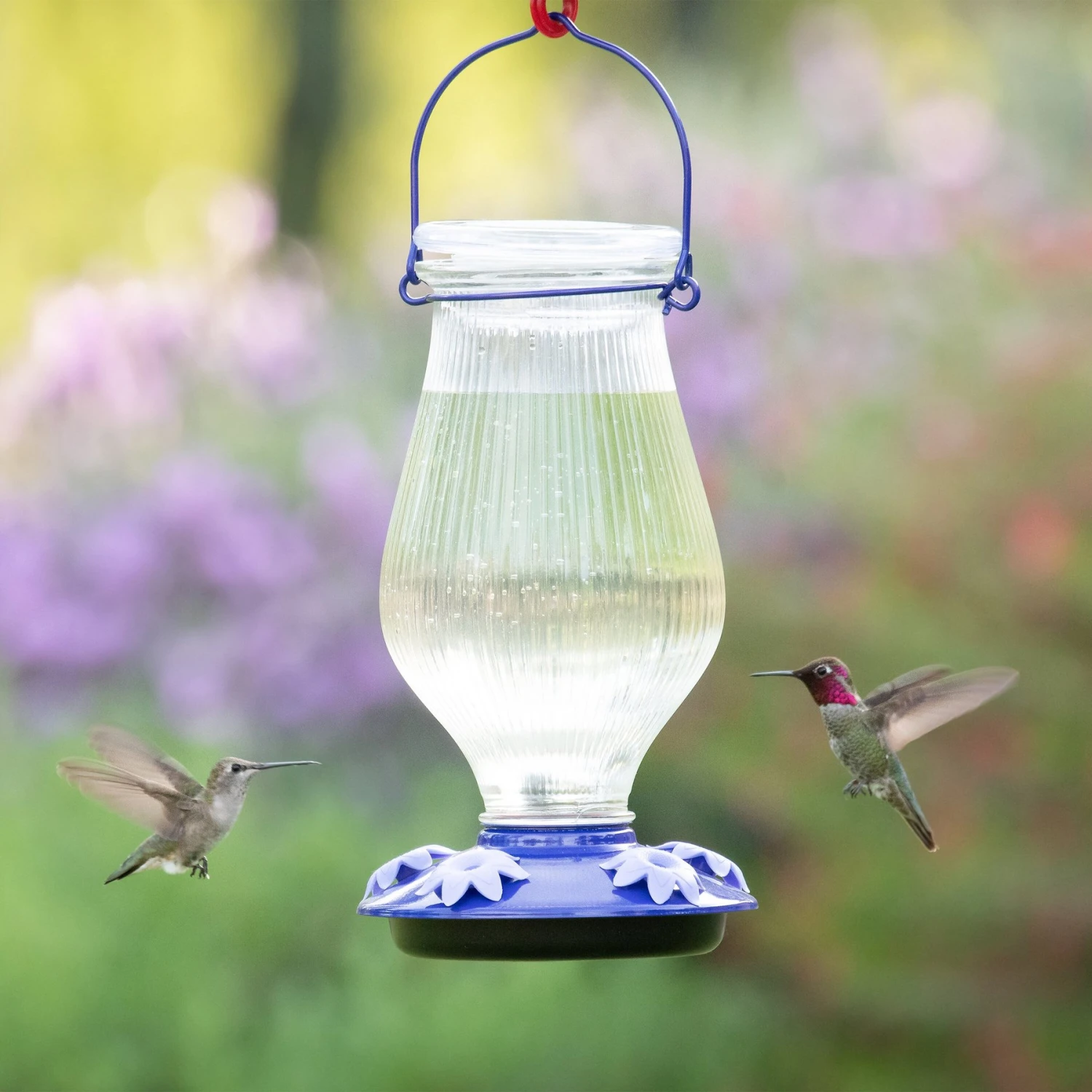 Perky-Pet Oasis Top-Fill Glass Hummingbird Feeder 4 Perky-Pet Oasis Top-Fill Glass Hummingbird Feeder - Image 2
