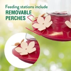 Perky-Pet Top-Fill Pinch-Waist Glass Hummingbird Feeder -Sunny Decor Shop 250866 PT3. AC SS1800 V1599278545