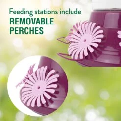 Perky-Pet Top-Fill Hummer’s Favorite Glass Hummingbird Feeder -Sunny Decor Shop 250868 PT3. AC SS1800 V1599264390