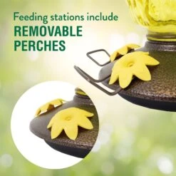 Perky-Pet Pineapple Top-Fill Glass Hummingbird Feeder -Sunny Decor Shop 250872 PT2. AC SS1800 V1599270725