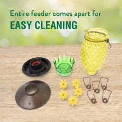 Perky-Pet Pineapple Top-Fill Glass Hummingbird Feeder -Sunny Decor Shop 250872 PT5. AC SS1800 V1599265310