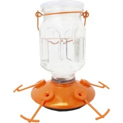 Perky-Pet Top-Fill Glass Oriole Wild Bird Feeder -Sunny Decor Shop 250874 PT5. AC SS1800 V1599267723