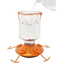 Perky-Pet Top-Fill Glass Oriole Wild Bird Feeder -Sunny Decor Shop 250874 PT6. AC SS1800 V1599276703