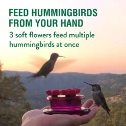 Perky-Pet Handheld & Tabletop Hummingbird Feeder -Sunny Decor Shop 250876 PT3. AC SS1800 V1599273362