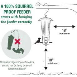 Perky-Pet Squirrel-Be-Gone Max Wild Bird Feeder -Sunny Decor Shop 250880 PT3. AC SS1800 V1599268276