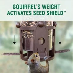 Perky-Pet Squirrel-Be-Gone Max Wild Bird Feeder -Sunny Decor Shop 250880 PT4. AC SS1800 V1599266772