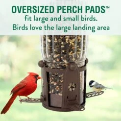 Perky-Pet Squirrel-Be-Gone Max Wild Bird Feeder -Sunny Decor Shop 250880 PT5. AC SS1800 V1599273671