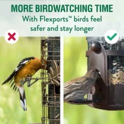 Perky-Pet Squirrel-Be-Gone Max Wild Bird Feeder -Sunny Decor Shop 250880 PT6. AC SS1800 V1599265931