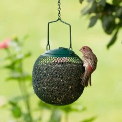 Perky-Pet Green Seed Ball Wild Bird Feeder -Sunny Decor Shop 250892 PT2. AC SS1800 V1599268325