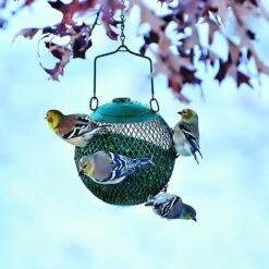 Perky-Pet Green Seed Ball Wild Bird Feeder -Sunny Decor Shop 250892 PT4. AC SS1800 V1599268597