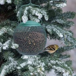 Perky-Pet Green Seed Ball Wild Bird Feeder -Sunny Decor Shop 250892 PT5. AC SS1800 V1599264084