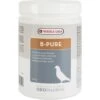 Versele-Laga Oropharma B Pure Vitamins & Minerals Pigeon Supplement, 1.1-lb Tub -Sunny Decor Shop 251751 MAIN. AC SS1800 V1682626553
