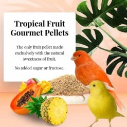 Lafeber Tropical Fruit Gourmet Pellets Canary Bird Food -Sunny Decor Shop 254447 PT4. AC SS1800 V1602286272