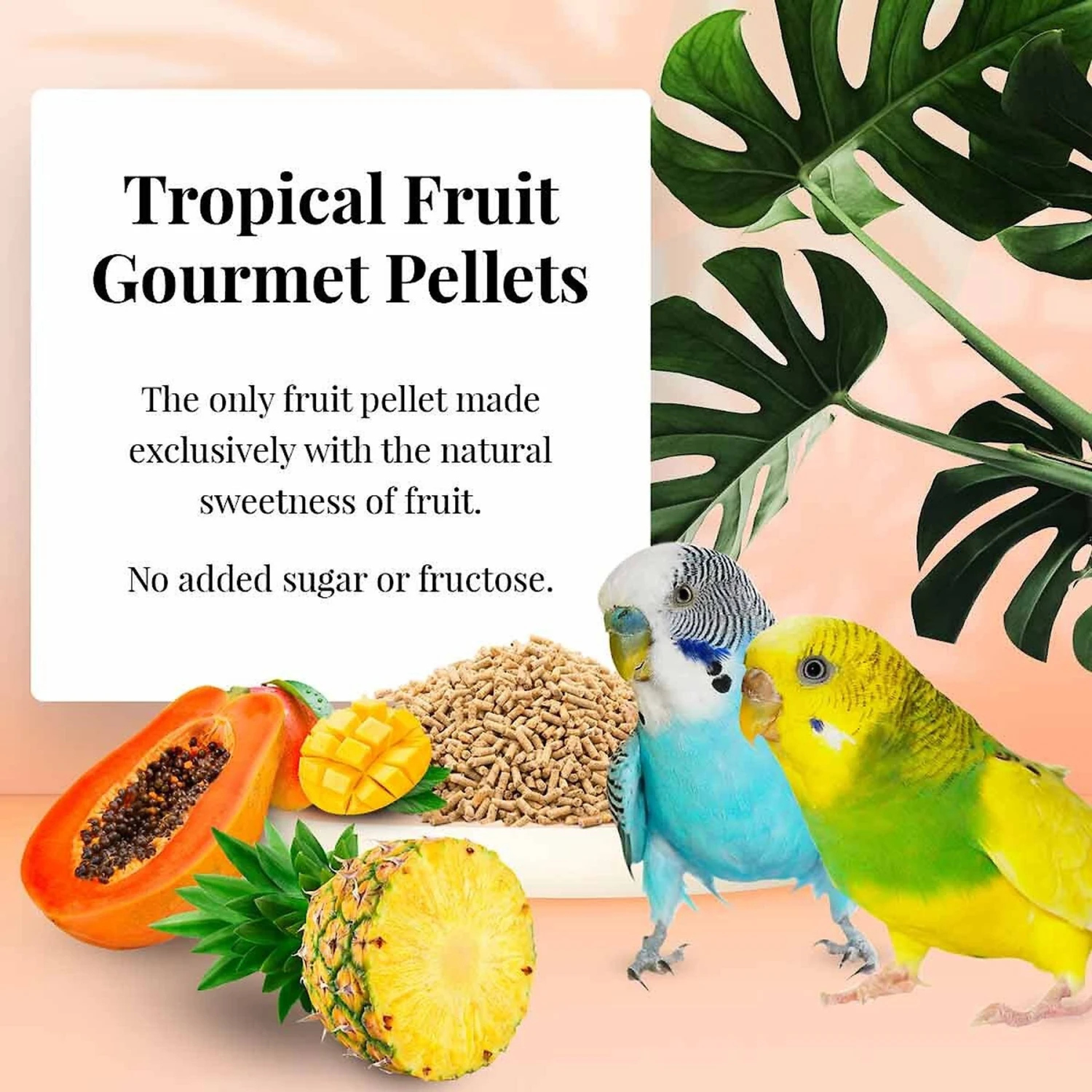Lafeber Tropical Fruit Gourmet Pellets Parakeet Bird Food 7 Lafeber Tropical Fruit Gourmet Pellets Parakeet Bird Food - Image 5