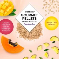 Lafeber Tropical Fruit Gourmet Pellets Parakeet Bird Food 15 Lafeber Tropical Fruit Gourmet Pellets Parakeet Bird Food -Sunny Decor Shop 254451 PT5. AC SS1800 V1602312667