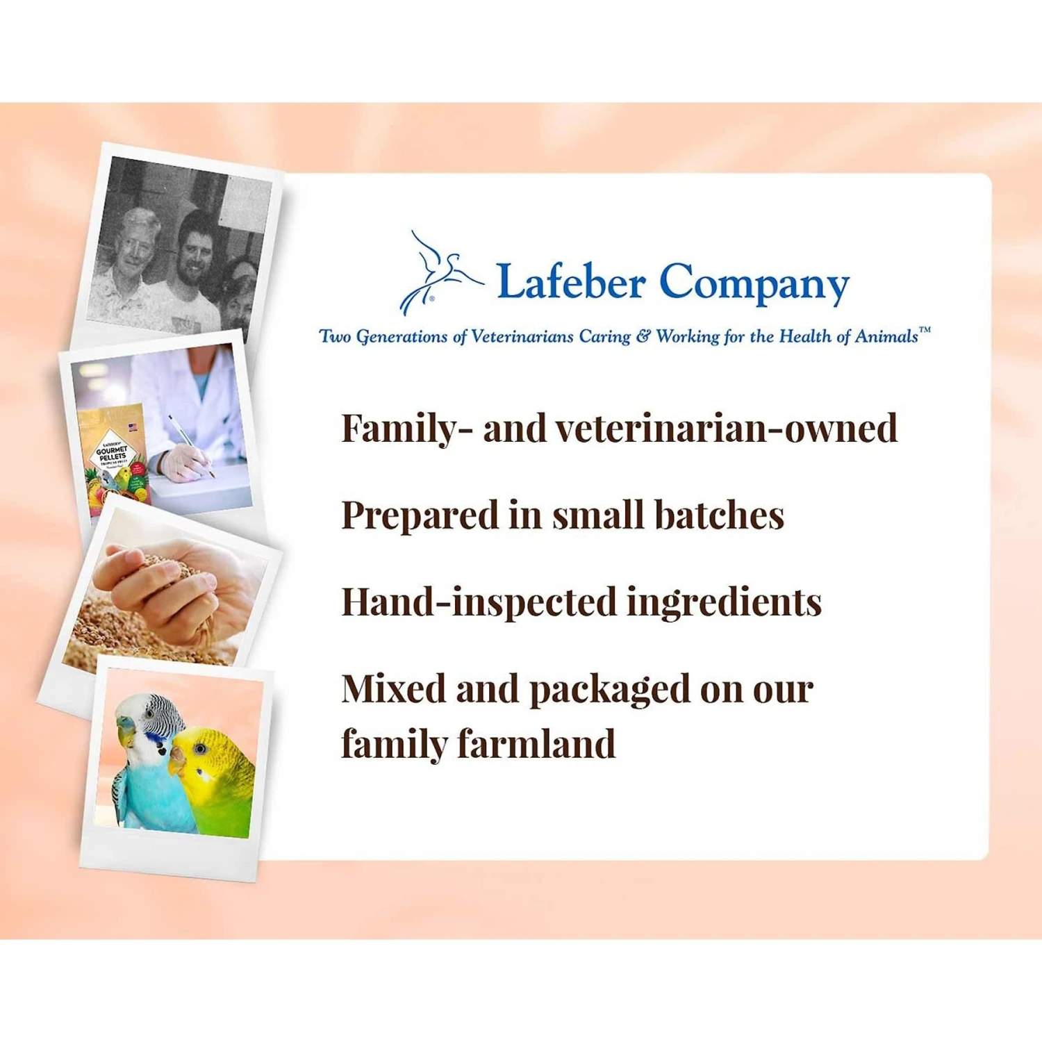 Lafeber Tropical Fruit Gourmet Pellets Parakeet Bird Food 10 Lafeber Tropical Fruit Gourmet Pellets Parakeet Bird Food - Image 8