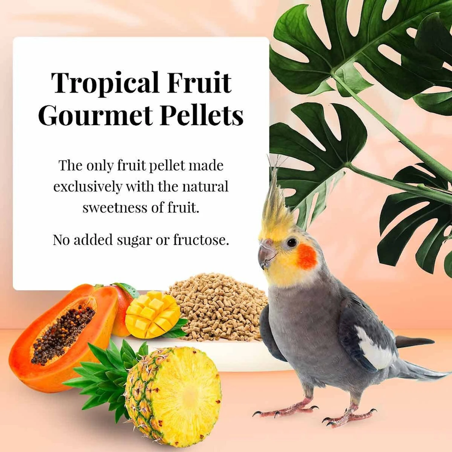 Lafeber Tropical Fruit Gourmet Pellets Cockatiel Bird Food 7 Lafeber Tropical Fruit Gourmet Pellets Cockatiel Bird Food - Image 5