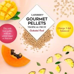 Lafeber Tropical Fruit Gourmet Pellets Cockatiel Bird Food 15 Lafeber Tropical Fruit Gourmet Pellets Cockatiel Bird Food -Sunny Decor Shop 254455 PT5. AC SS1800 V1602326782