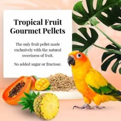 Lafeber Tropical Fruit Gourmet Pellets Conure Bird Food -Sunny Decor Shop 254459 PT4. AC SS1800 V1602338798