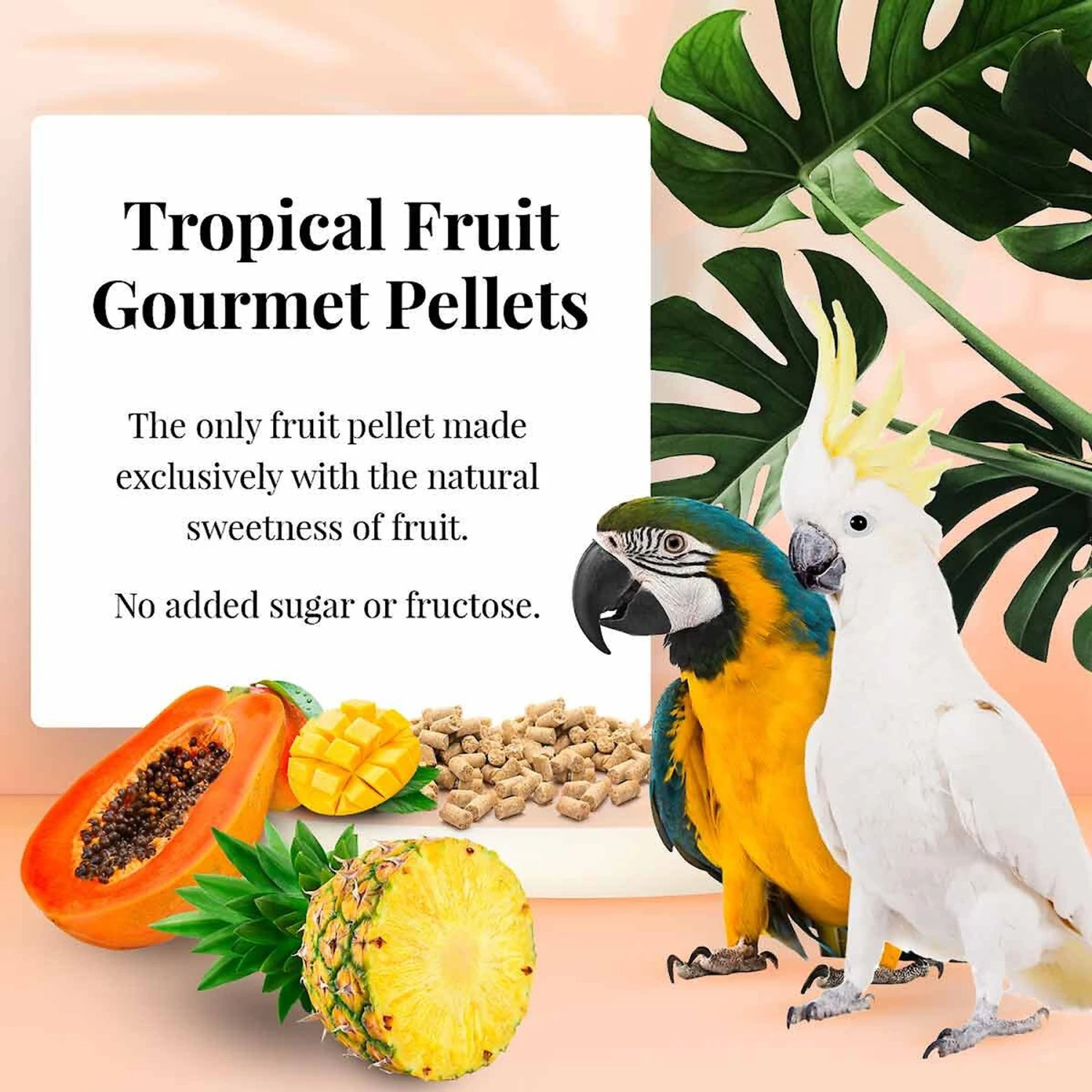 Lafeber Tropical Fruit Gourmet Pellets Macaw Bird Food 7 Lafeber Tropical Fruit Gourmet Pellets Macaw Bird Food - Image 5