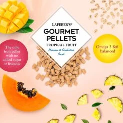 Lafeber Tropical Fruit Gourmet Pellets Macaw Bird Food 15 Lafeber Tropical Fruit Gourmet Pellets Macaw Bird Food -Sunny Decor Shop 254467 PT5. AC SS1800 V1602329766