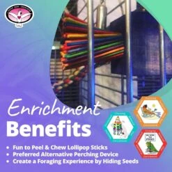 Super Bird Creations Paper Party Bird Toys, X-Large, 1 Count -Sunny Decor Shop 256278 PT4. AC SS1800 V1662689180