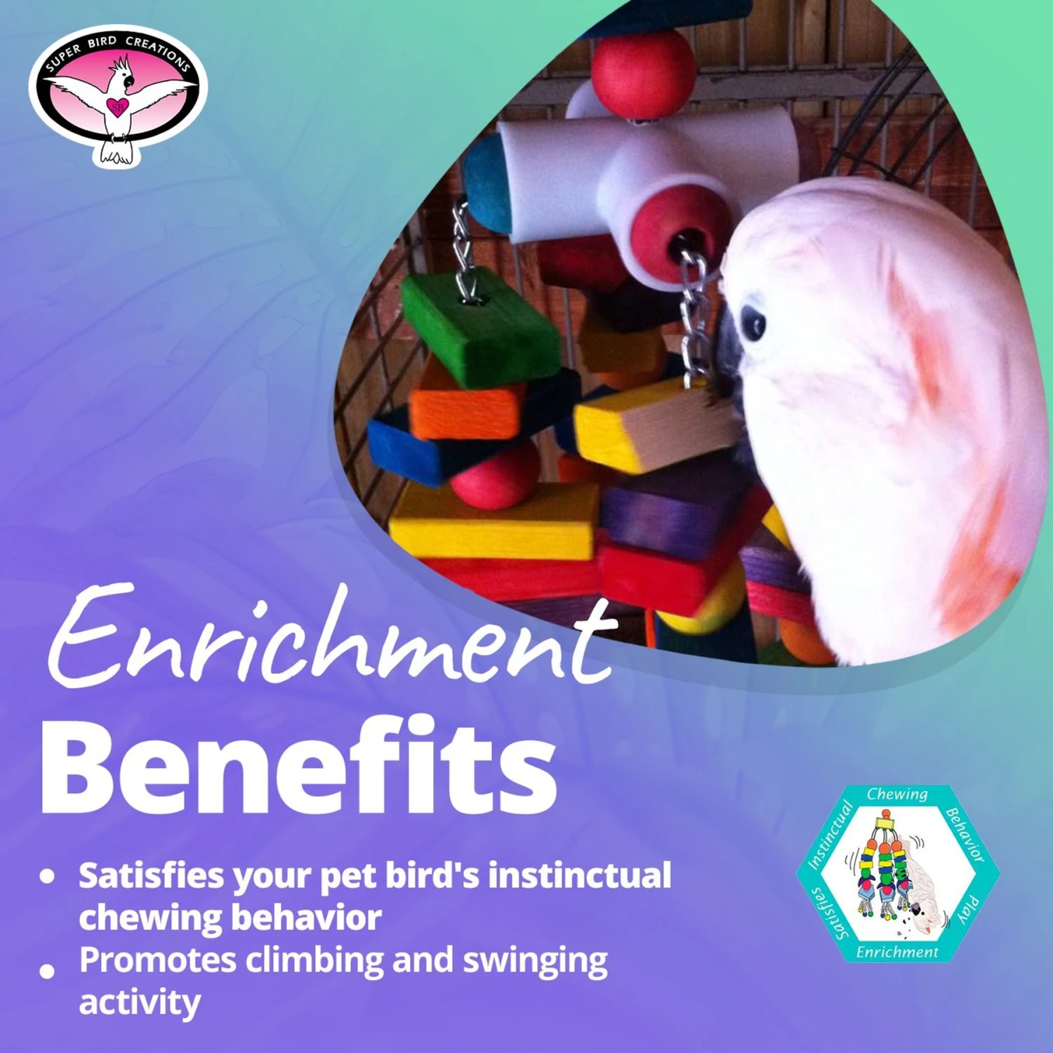 Super Bird Creations 4 Way Play Bird Toy, X-Large 7 Super Bird Creations 4 Way Play Bird Toy, X-Large - Image 5