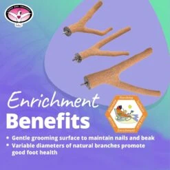 Super Bird Creations Sure-Grip Grooming Y Bird Perch, Large 12 Super Bird Creations Sure-Grip Grooming Y Bird Perch, Large -Sunny Decor Shop 256284 PT4. AC SS1800 V1665781532