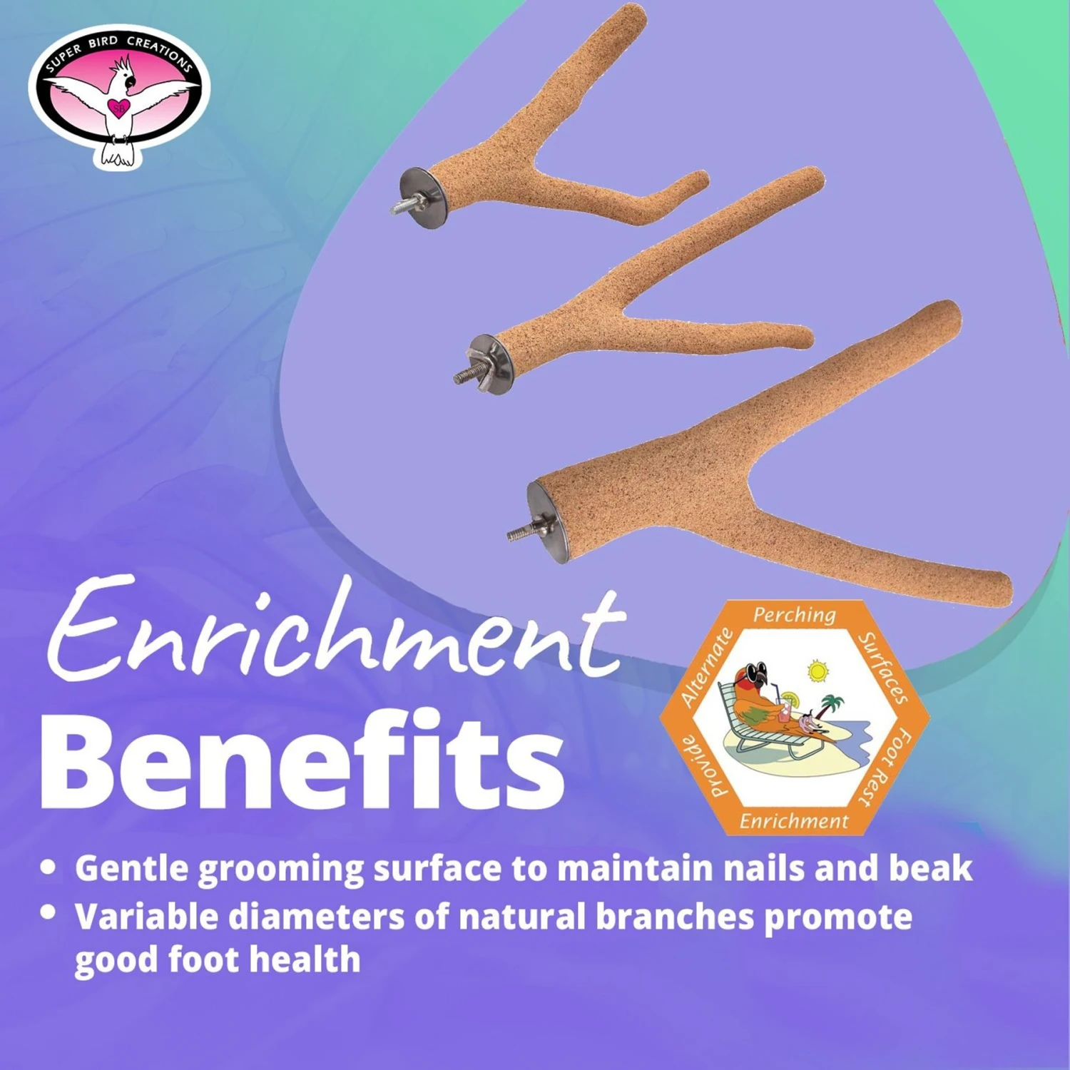 Super Bird Creations Sure-Grip Grooming Y Bird Perch, Large 6 Super Bird Creations Sure-Grip Grooming Y Bird Perch, Large - Image 4