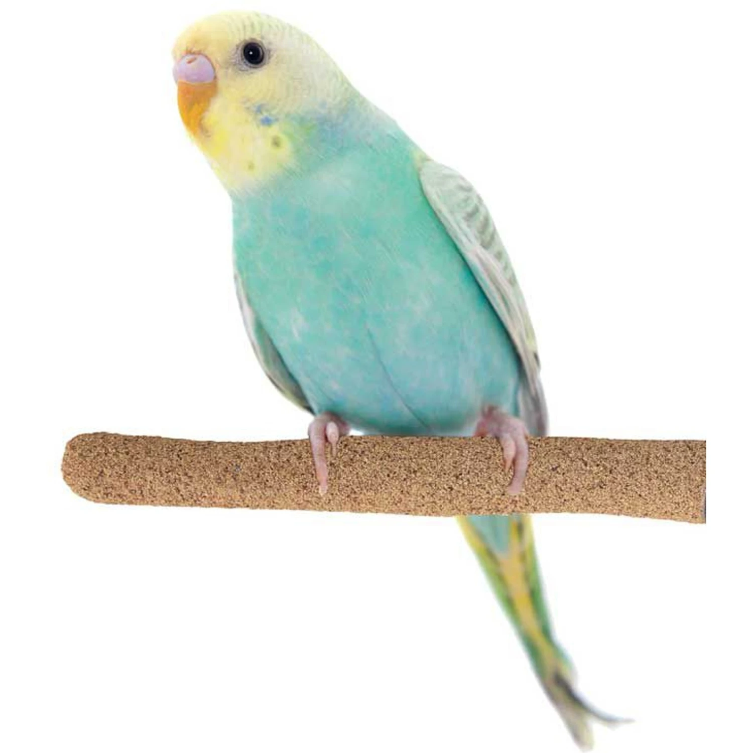 Super Bird Creations Sure-Grip Grooming Perch, Small 3 Super Bird Creations Sure-Grip Grooming Perch, Small