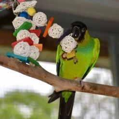 Super Bird Creations Mini Starburst Bird Toy, Small -Sunny Decor Shop 256293 PT3. AC SS1800 V1662671781