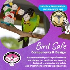 Super Bird Creations Mini Starburst Bird Toy, Small -Sunny Decor Shop 256293 PT7. AC SS1800 V1685653661