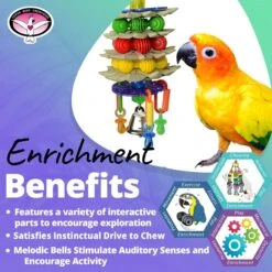 Super Bird Creations Triple Decker Bird Toy, Medium -Sunny Decor Shop 256299 PT4. AC SS1800 V1684343957