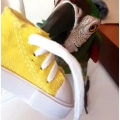 Super Bird Creations Sneakers Bird Toy, Medium/Large, 4 Count -Sunny Decor Shop 256301 PT3. AC SS1800 V1662671211