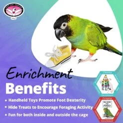 Super Bird Creations Sneakers Bird Toy, Medium/Large, 4 Count -Sunny Decor Shop 256301 PT4. AC SS1800 V1685651518