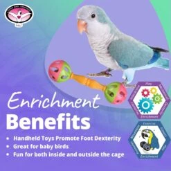 Super Bird Creations Birdie Barbell, Small/Medium, 3 Count -Sunny Decor Shop 256303 PT4. AC SS1800 V1665781582