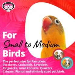 Super Bird Creations Birdie Barbell, Small/Medium, 3 Count -Sunny Decor Shop 256303 PT5. AC SS1800 V1685652933