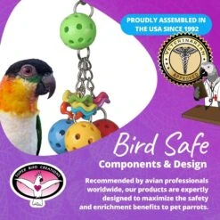 Super Bird Creations Jingleberries Bird Toy, Small/Medium 16 Super Bird Creations Jingleberries Bird Toy, Small/Medium -Sunny Decor Shop 256305 PT7. AC SS1800 V1685652532