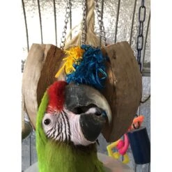 Super Bird Creations Coco Cornhusk Forager Bird Toy, Large -Sunny Decor Shop 256311 PT3. AC SS1800 V1662689306