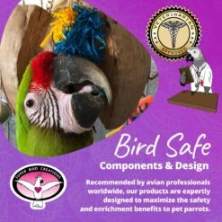 Super Bird Creations Coco Cornhusk Forager Bird Toy, Large -Sunny Decor Shop 256311 PT7. AC SS1800 V1685653663