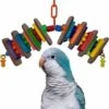 Super Bird Creations Snack Attack Bird Toy, Medium -Sunny Decor Shop 256313 MAIN. AC SS1800 V1662671595