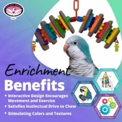 Super Bird Creations Snack Attack Bird Toy, Medium -Sunny Decor Shop 256313 PT4. AC SS1800 V1684348016