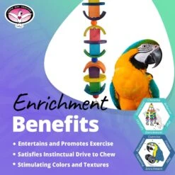 Super Bird Creations Chunky Chew Bird Toy, Large/X-Large -Sunny Decor Shop 256317 PT4. AC SS1800 V1684340538