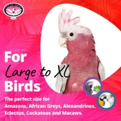 Super Bird Creations Chunky Chew Bird Toy, Large/X-Large -Sunny Decor Shop 256317 PT5. AC SS1800 V1684342737