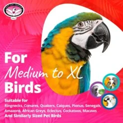 Super Bird Creations Fatty Bagels, Medium/Large, 24 Count 12 Super Bird Creations Fatty Bagels, Medium/Large, 24 Count -Sunny Decor Shop 256321 PT5. AC SS1800 V1665670099