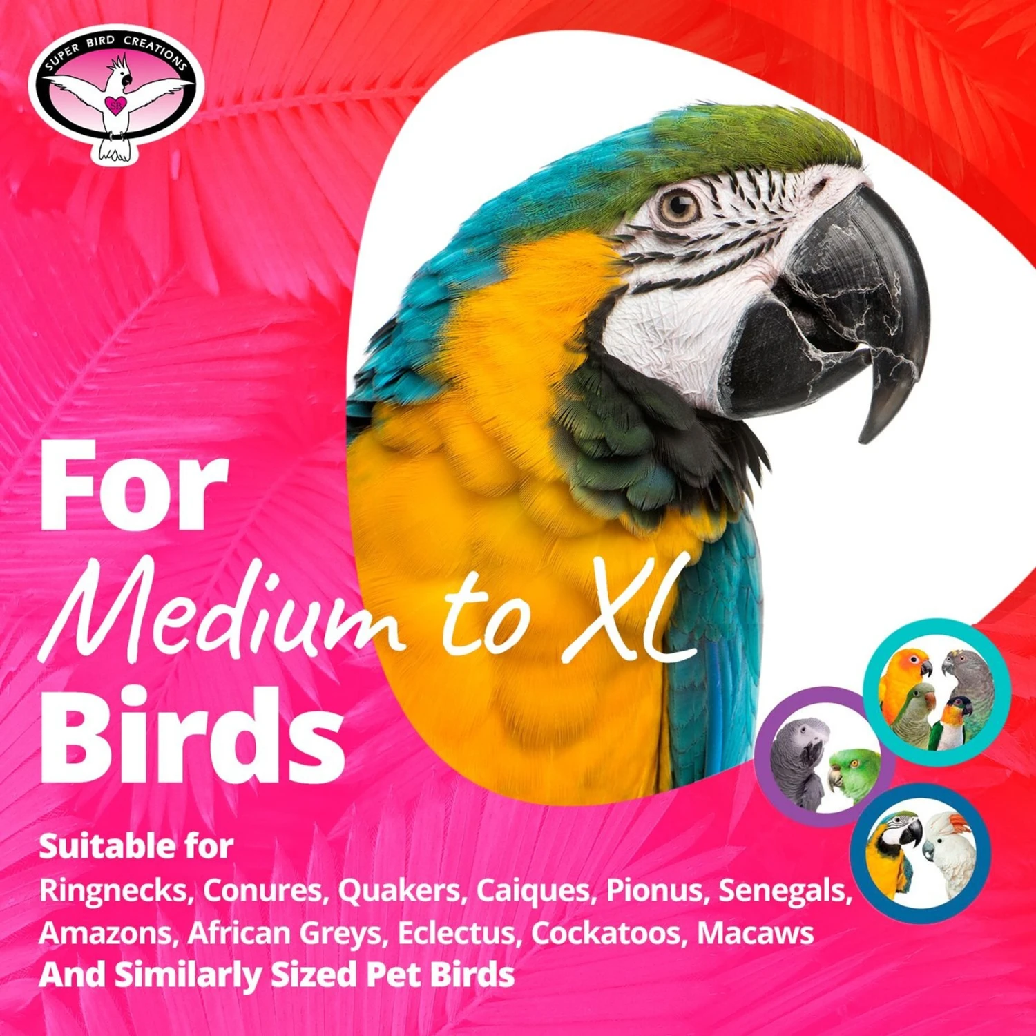 Super Bird Creations Fatty Bagels, Medium/Large, 24 Count 6 Super Bird Creations Fatty Bagels, Medium/Large, 24 Count - Image 4