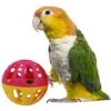 Super Bird Creations Birdie Balls Medium Bird Toy 1 Super Bird Creations Birdie Balls Medium Bird Toy -Sunny Decor Shop 256324 MAIN. AC SS1800 V1665666978