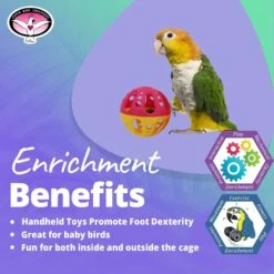 Super Bird Creations Birdie Balls Medium Bird Toy -Sunny Decor Shop 256324 PT4. AC SS1800 V1665670161