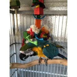 Super Bird Creations In The Groove Bird Toy, X-Large -Sunny Decor Shop 256326 PT3. AC SS1800 V1662670802