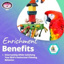 Super Bird Creations In The Groove Bird Toy, X-Large -Sunny Decor Shop 256326 PT4. AC SS1800 V1662671145